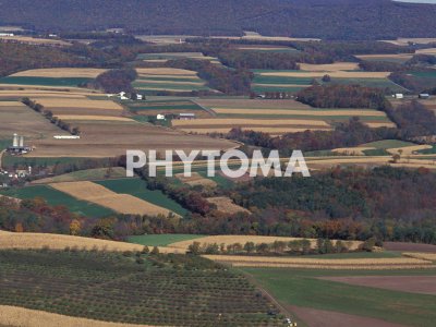 Foto aérea cultivos vegetales 